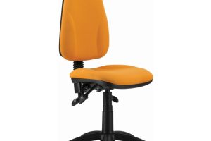 Model 1 ERGO