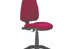 Model 2 ERGO