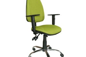 Model 4 CLX