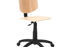 Model 1