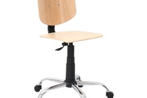 Model 1 CR