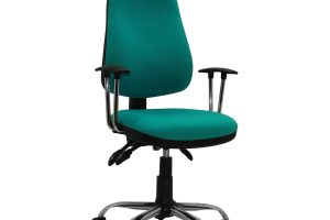 Model 5 CLX